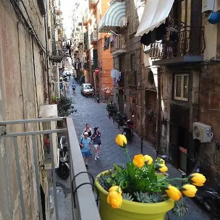 La Conchiglia Apartment *