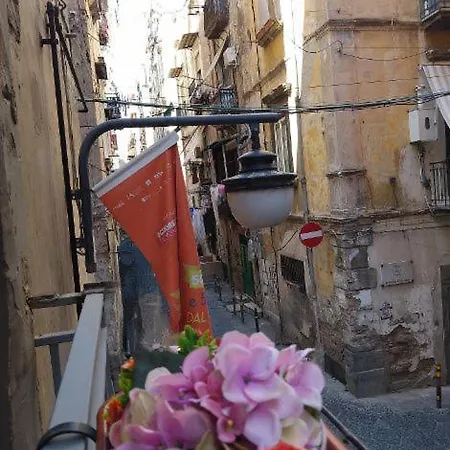 La Conchiglia