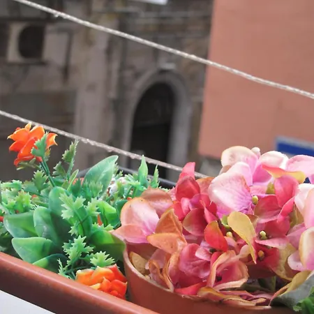La Conchiglia Apartment Naples