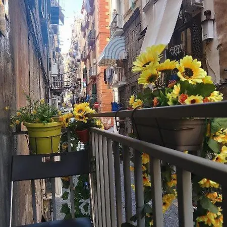 La Conchiglia * Napoli