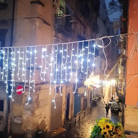 La Conchiglia